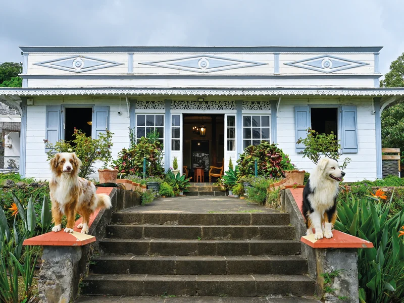 Jardin créole structuré, verger et potager avec espèces endémiques.